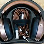 Image result for Focal Silver Headphones
