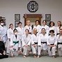 Image result for Judo Martial Arts