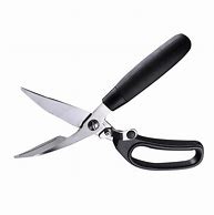 Image result for Scissors for Kitchen Use and Bones