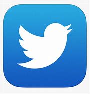 Image result for Twitter Logo Button