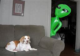 Image result for Alien Dog Meme
