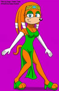 Image result for Tikal the Echidna Dress Up