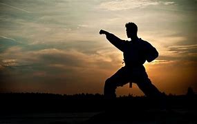 Image result for Free Martial Arts Pictures