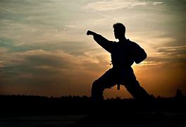 Image result for Martial Arts Background Images