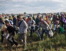 Image result for Hungary Migrants