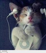 Image result for Cats Love iPod