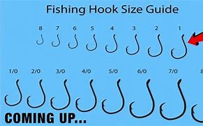 Image result for Best Fishing Hooks