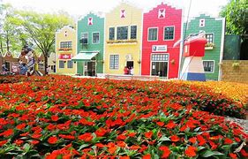 Image result for Flowers Sao Paulo