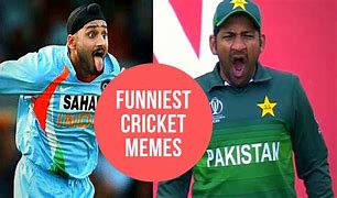 Image result for Funny Cricket Memes Insects
