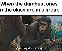 Image result for Ape Class Meme