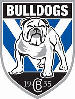 Image result for Dog Football Team