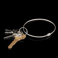 Image result for Metal Key Cable