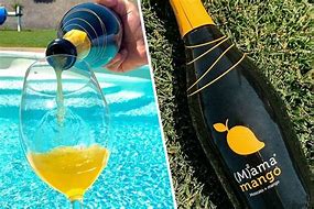 Image result for Girl Pouring Mango Moscato into a Flask