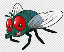 Image result for Cute Cartoon Fly