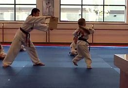 Image result for Tae Kwon Do Master