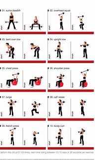 Image result for Barbell Exercise Chart