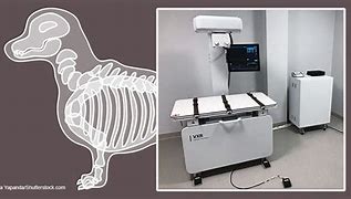 Image result for Fuji X-ray Room