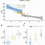 Image result for R Ggplot2