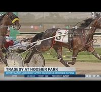 Image result for Race Horse Deathwatch