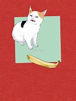 Image result for Banana Cat Meme