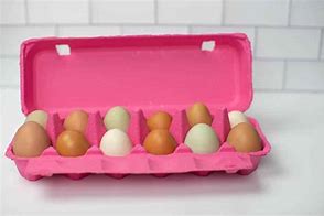 Image result for Dozen Egg Carton