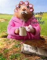 Image result for Good Morning Tuesday Funny