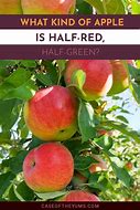 Image result for Half Red Green Apple