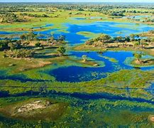 Image result for Okavango Delta Safari in Botswana