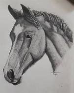 Image result for Simple Pencil Drawings for Beginners