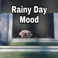 Image result for Rainy Day Boat Meme