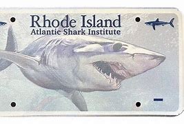 Image result for RI Shark Plate