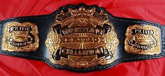 Image result for Pro Wrestling Belts