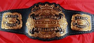 Image result for Japan Pro Wrestling Belt