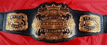 Image result for All Wrestling Belts