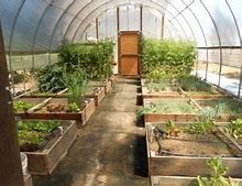 Image result for Square Foot Garden Greenhouse