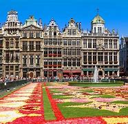 Image result for Brussels Carpet