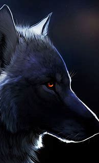 Image result for Wolf Wallpaper for Phone