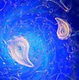 Image result for Trichomoniasis Fish