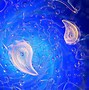 Image result for Trichomoniasis Microscope