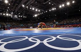 Image result for Freestyle Wrestling Mats