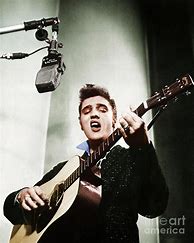 Image result for Elvis Performing