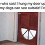 Image result for 9GAG Dog Meme