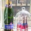 Image result for Mini Brut Champagne Bottles
