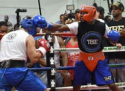 Image result for Mayweather Sparring