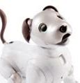 Image result for Aibo Pet Dog