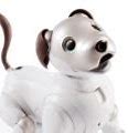 Image result for Sony Aibo Robot Dog Baby