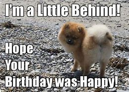 Image result for Happy Belated Birthday Cat Meme