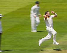 Image result for Side Spin Cricket