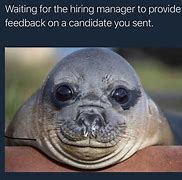 Image result for Now Recruiting Meme