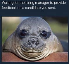 Image result for Recruiting Sales Meme